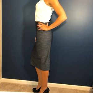 Express Pencil Skirt
